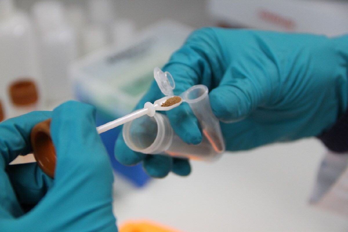 BayerCoLaborator-02 (2)