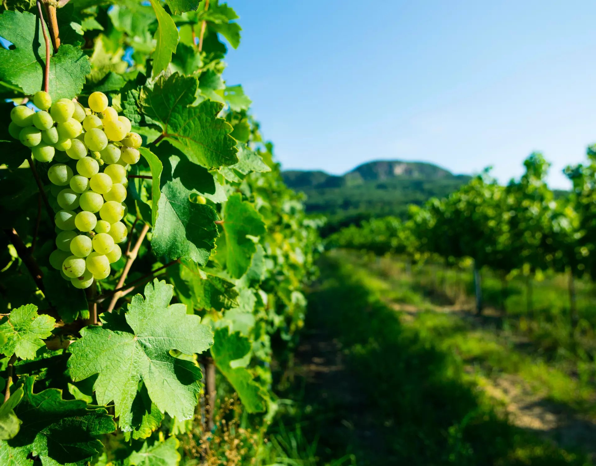 new blog headers (10)