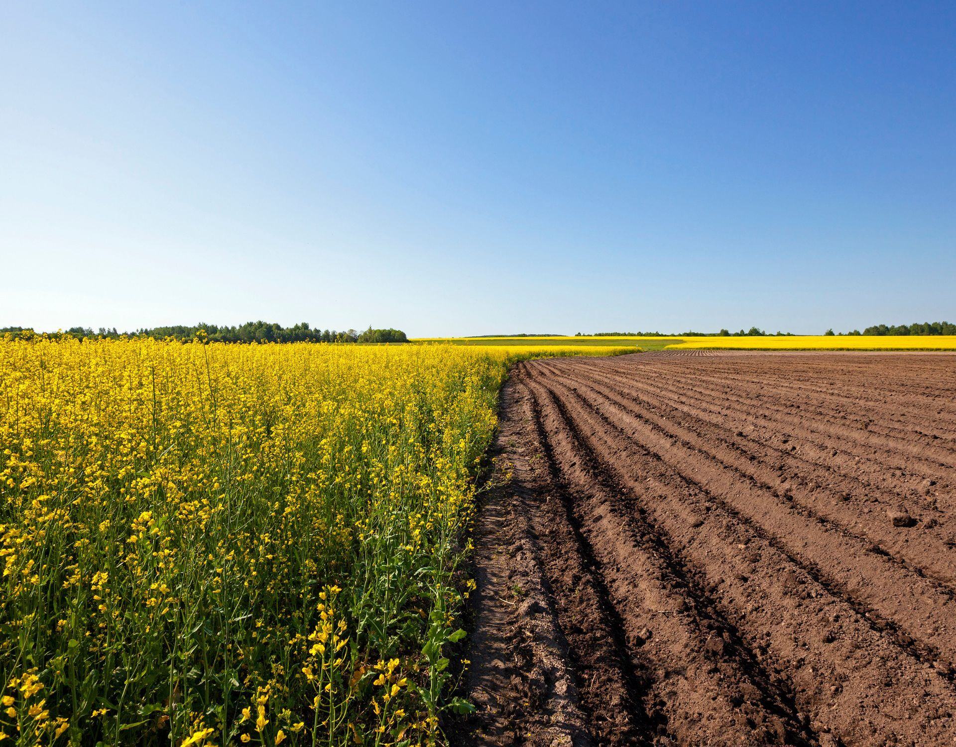 Learn how Biome Makers soil analysis streamlines product development.