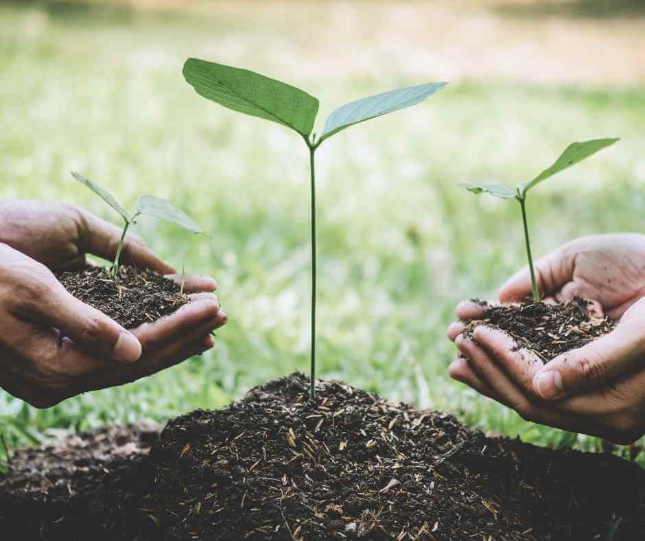 Soil Health Glossary - Soil Image