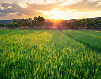 Waters Agricultural Laboratories