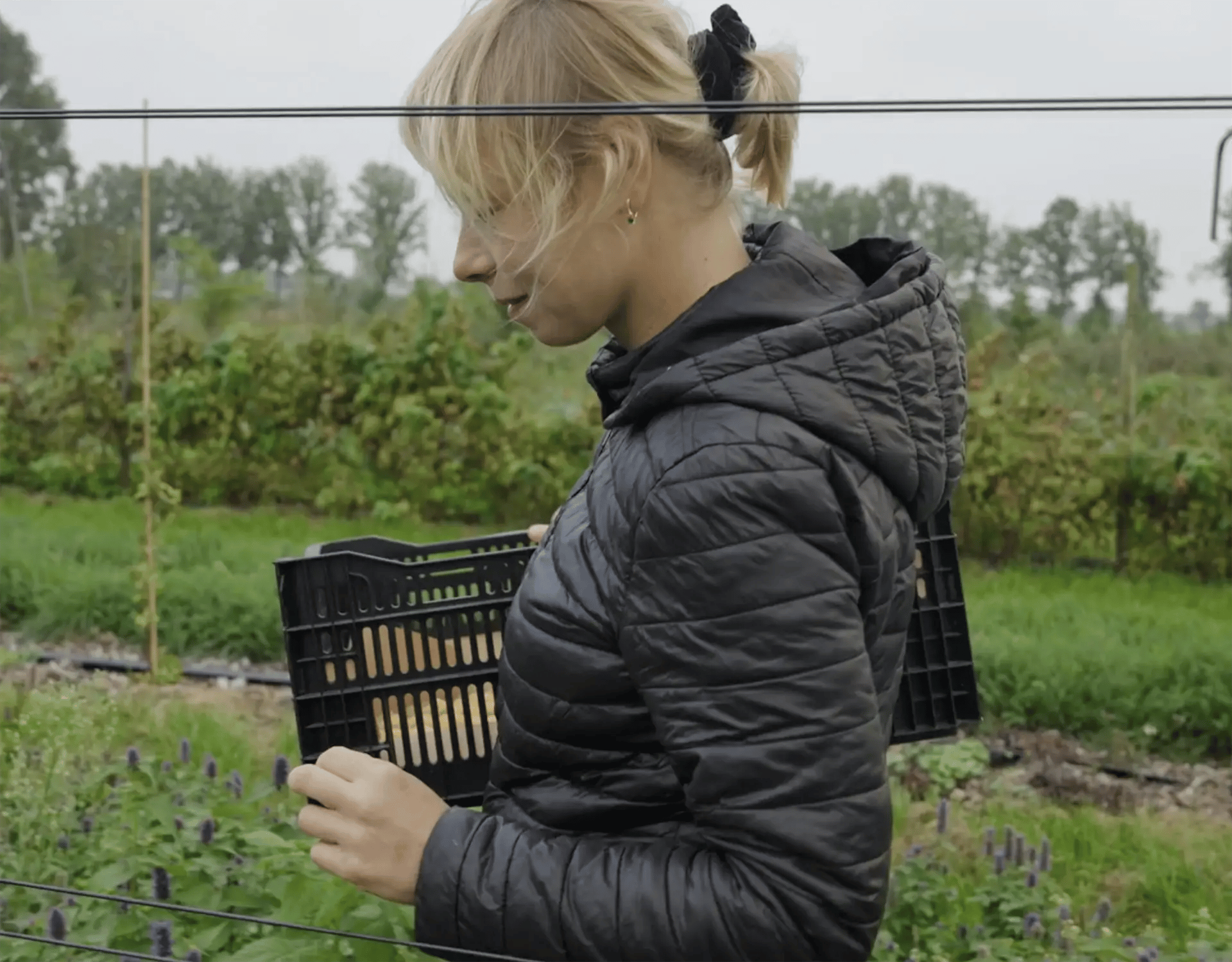 schevichoven_case study