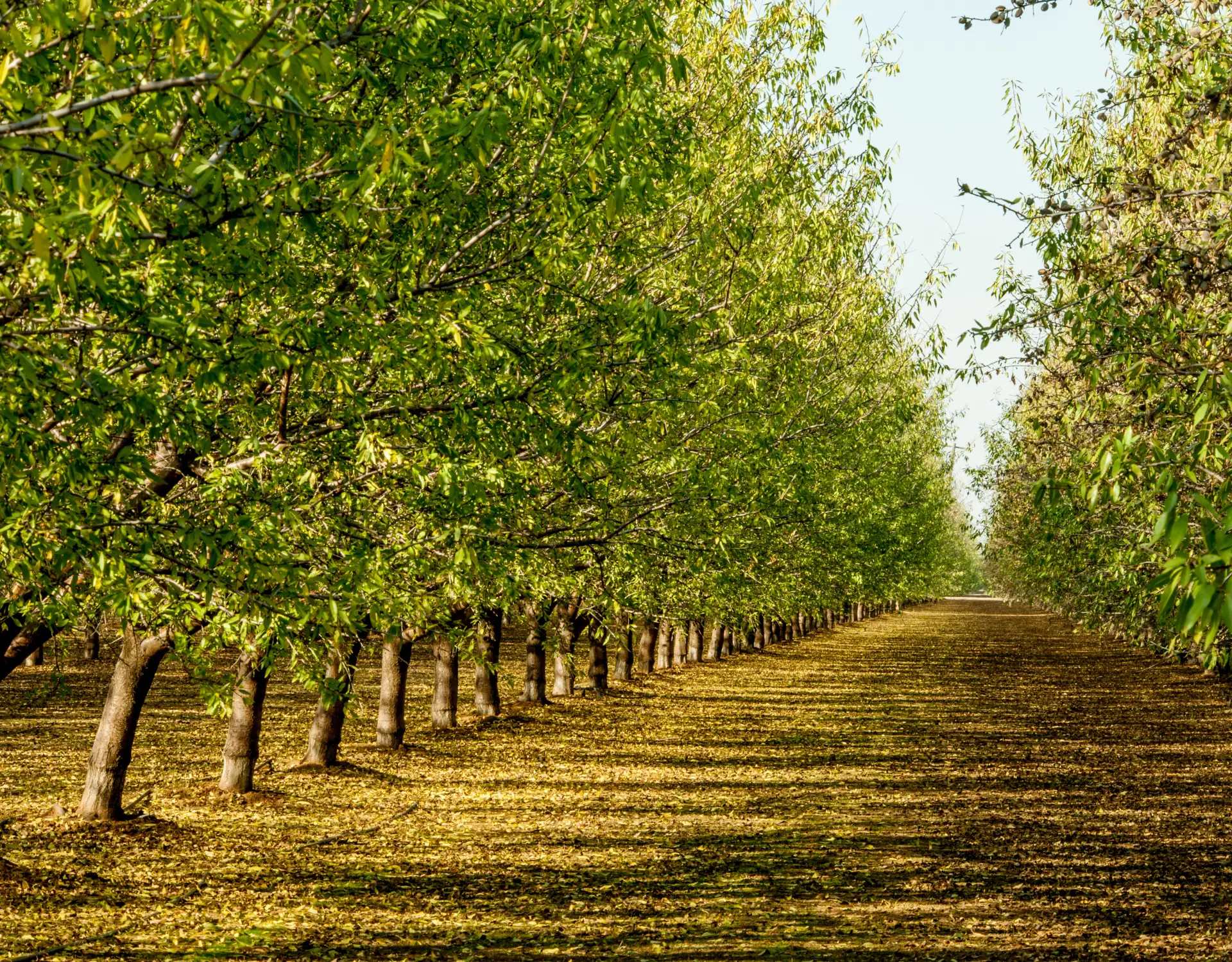 new blog headers (23) copy